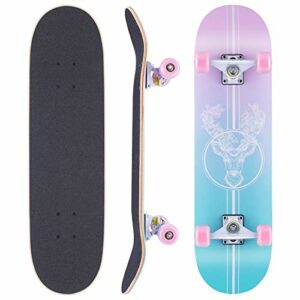 Scopri di più sull'articolo Classifica skateboard per bambina, alternative, offerte, guida all’ acquisto di Maggio 2024